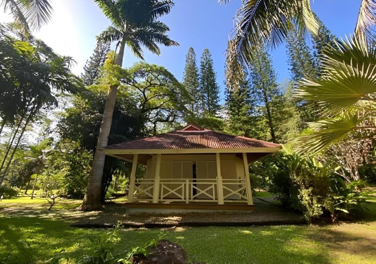 Evasion Bungalow D'Antan Spa Sarraméa Εξωτερικό φωτογραφία