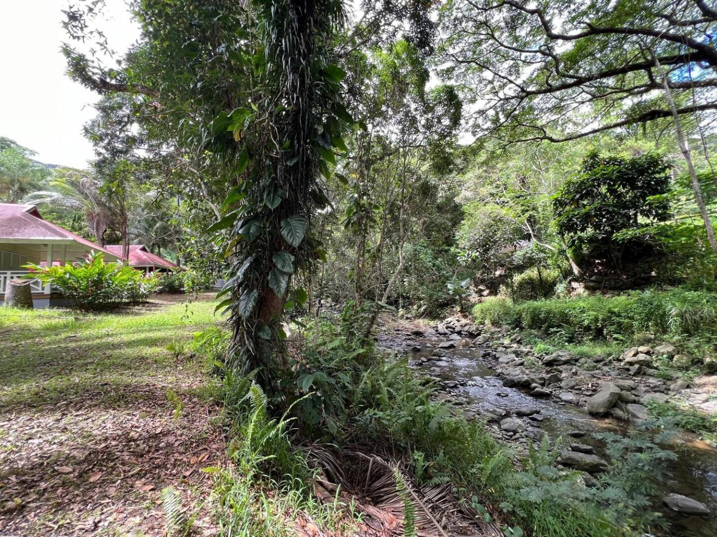 Evasion Bungalow D'Antan Spa Sarraméa Εξωτερικό φωτογραφία